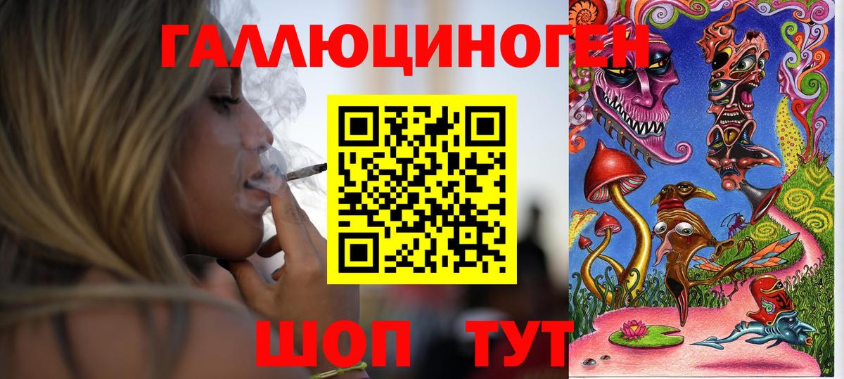 продажа наркотиков  Вход с VPN  Сыктывкар  Псилоцибиновые грибы MAGIC MUSHROOMS  Галлюциногенные грибы Psilocybine cubensis 